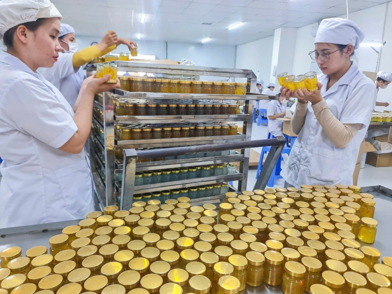 Nhà Máy Yến Nha Trang - Hơn 20 Năm Kiến Tạo Giá Trị Thực Phẩm Cao Cấp