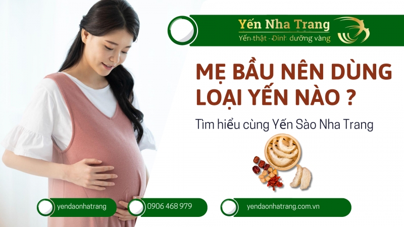 Yến Chưng Cho Bà Bầu: Dùng Loại Nào Tốt Nhất?