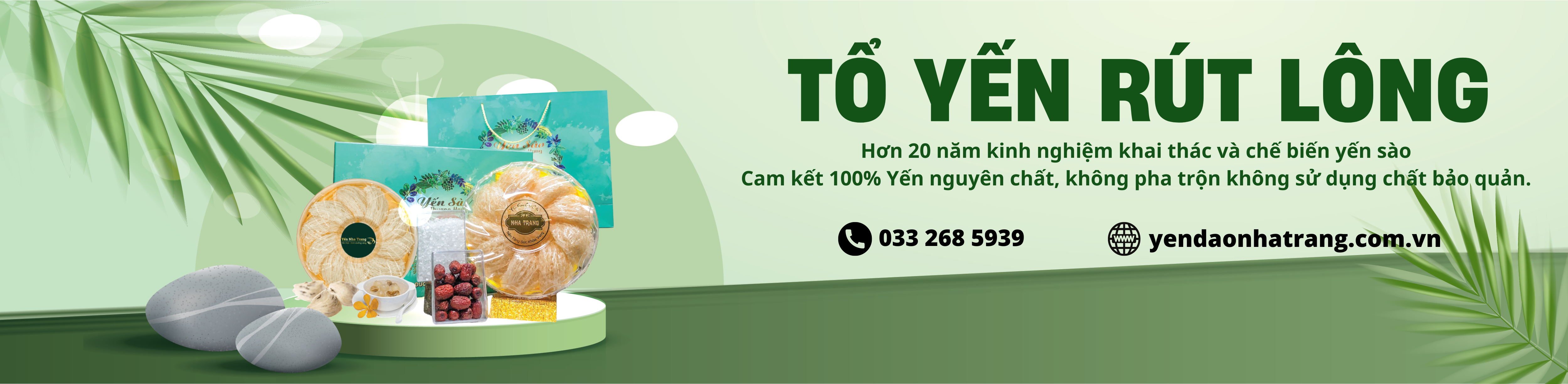 Tổ yến rút lông