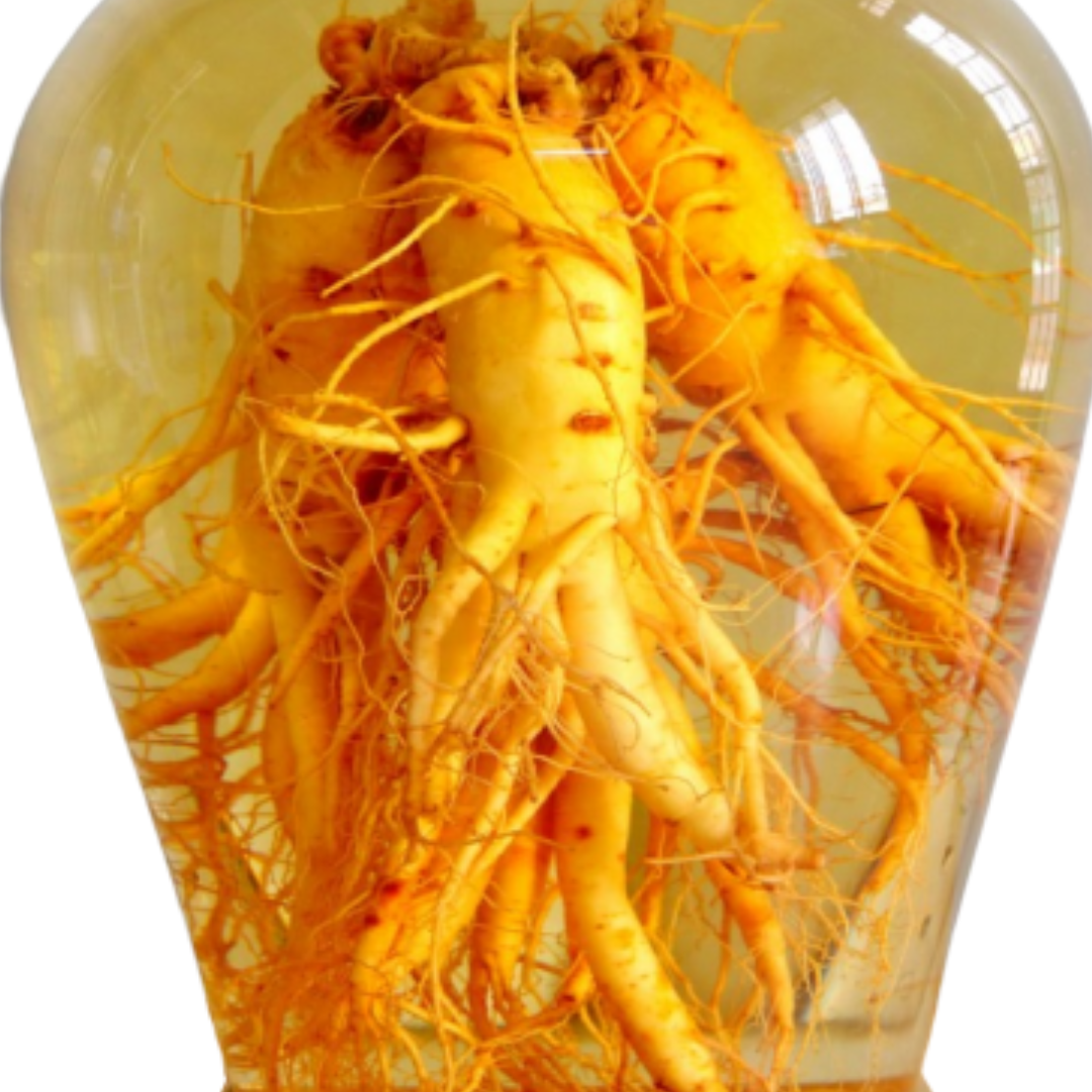 Rượu sâm táo đỏ nếp cái hoa vàng 500ML