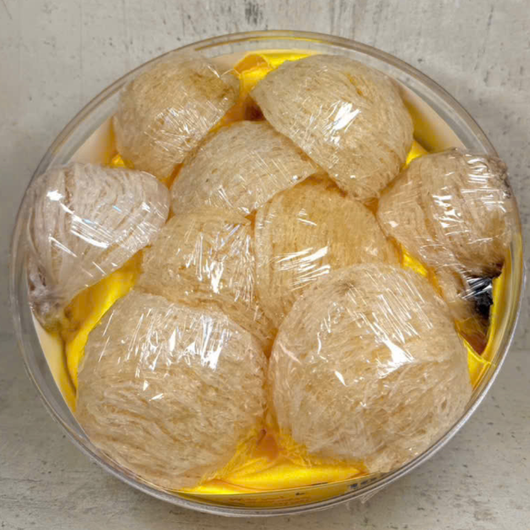 Yến Rút Lông Thường