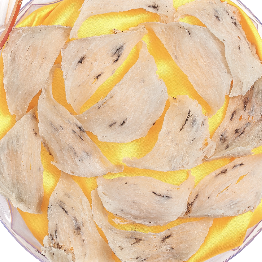 Yến thô - 12 đến 16 tai nhỏ